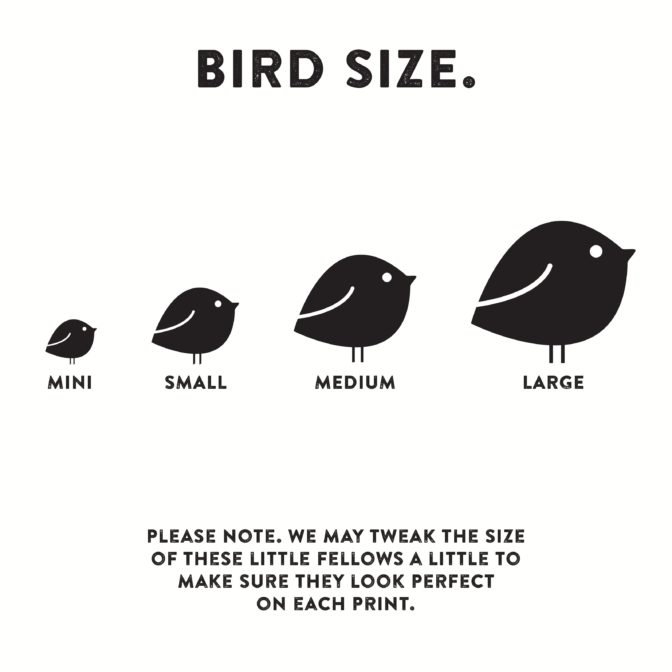 bird sizes